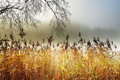 Loch Ard Autumn