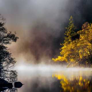Loch Ard Autumn Mist