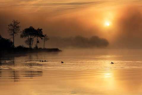 Loch Ard Sunrise mist
