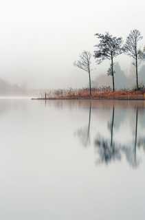 Loch Ard Misty Reflection