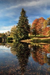 Drummond Castle Gardens- Tree Reflections